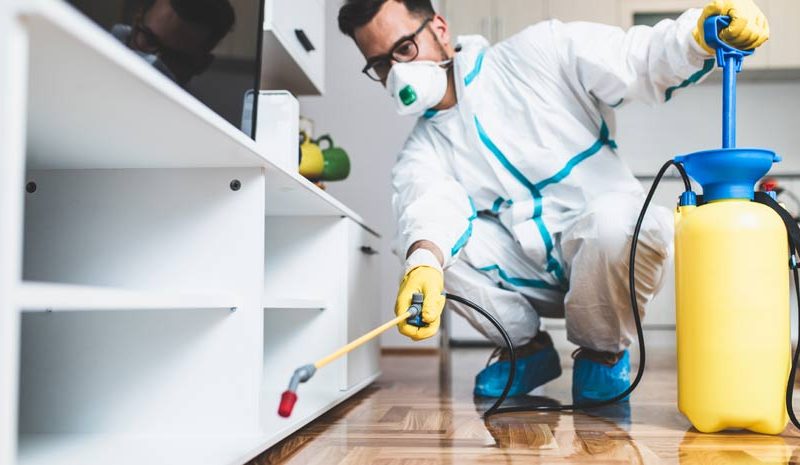 Get Familiar with the Tips for Pest Control in Your House
