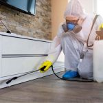 Furniture Pest Control – The Useful Tips & Remedies